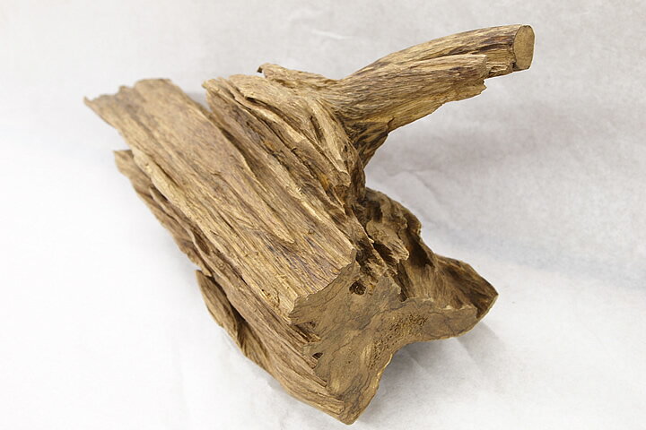 ������ۥ������Ḷ�ڡ��������ޥ졼�������ڹ��ڡ�