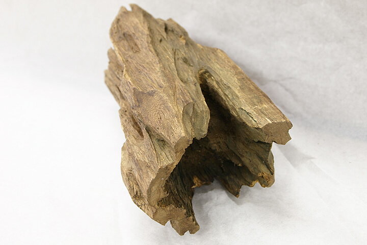 ������ۥ������Ḷ�ڡ��������ޥ졼�������ڹ��ڡ�