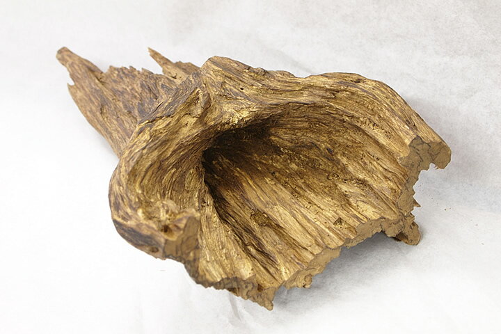 ������ۥ������Ḷ�ڡ��������ޥ졼�������ڹ��ڡ�