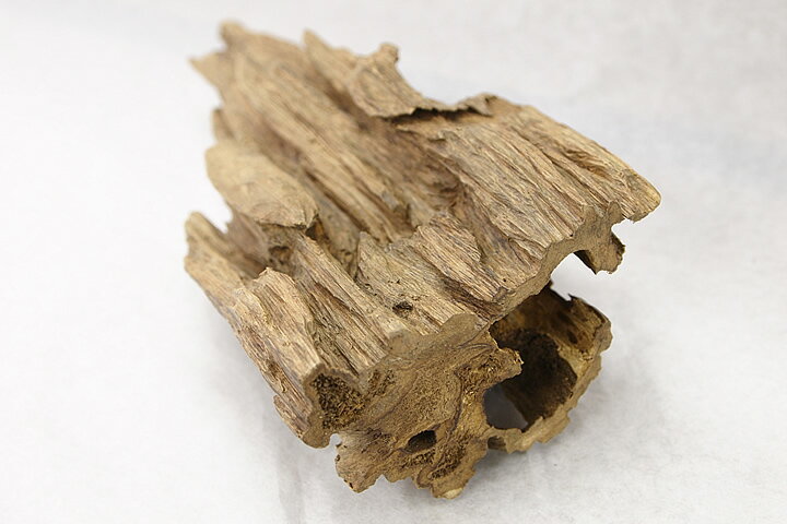 ������ۥ������Ḷ�ڡ��������ޥ졼�������ڹ��ڡ�