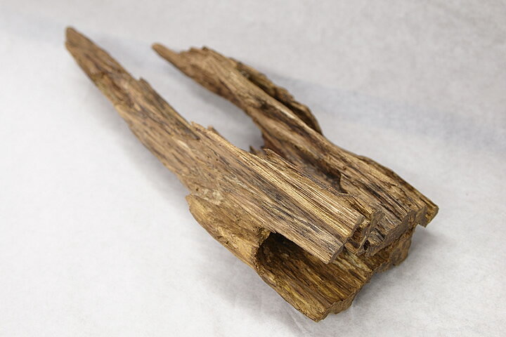 ������ۥ������Ḷ�ڡ��������ޥ졼�������ڹ��ڡ�