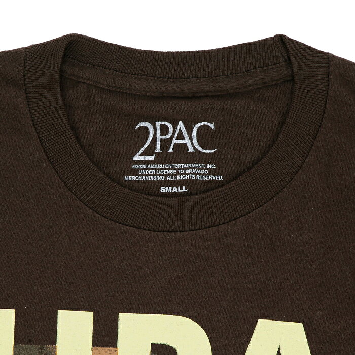 【最短即日発送】 GMERCH TUPAC BROWN POETRY F/SL ジーマーチ 2パック ポウイトゥリィ Tシャツ 半袖 カットソー グラフィック ストリート メンズ ブラック ブラウン S M L XL ラージ サイズ オンライン massimo-store-10023011 マッシモ オフィシャルストア サンプル画像3