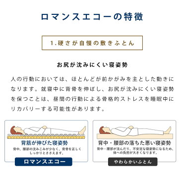 【シーツ&敷きパッドプレゼント】最新モデル ロマンスエコー 敷布団 シングル ロマンス小杉 マットレス 腰痛 整体 カイロ 腰にお悩みで硬い敷布団をお探しの方に【大型宅配便】