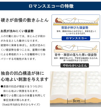 【シーツ&敷きパッドプレゼント!】最新モデルロマンスエコー 敷布団 セミダブル ロマンス小杉 マットレス 新生活 三つ折り 腰痛 整体 カイロ 腰にお悩みで硬い敷布団をお探しの方に【大型宅配便】