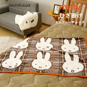 ひざ掛け 西川 ミッフィー ひざかけ ディック・ブルーナ ふわふわ 大判 100×70cm うさぎちゃん miffy 自転車 可愛い ブランケット チェック FQ7220 5024 DB2651