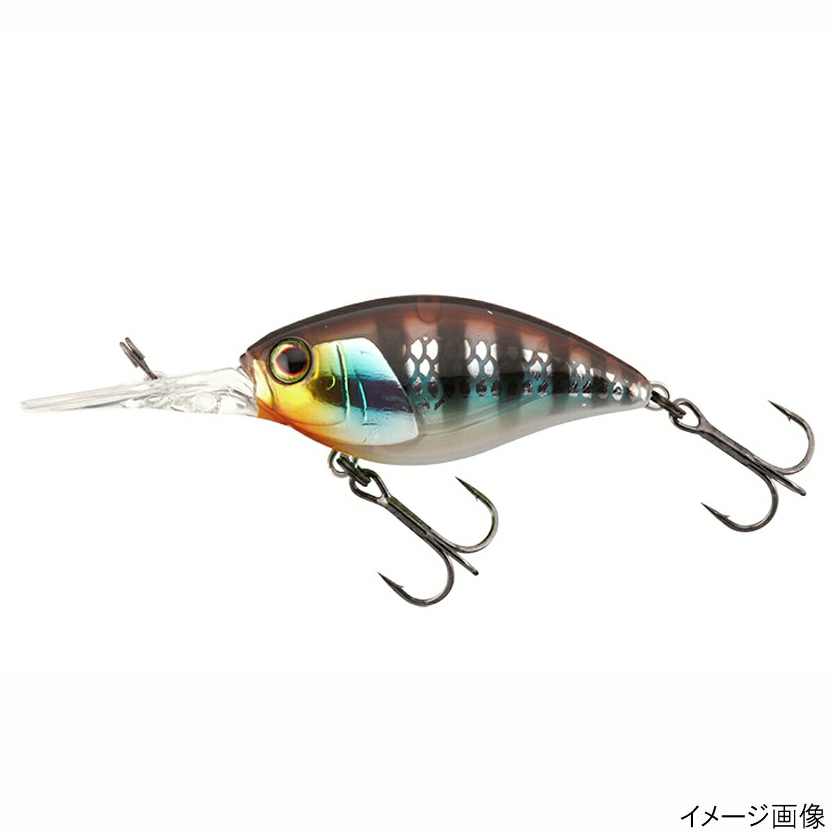 å 륢 BROCK RIPPER 48MR ۥڤ椦ѥåȡ