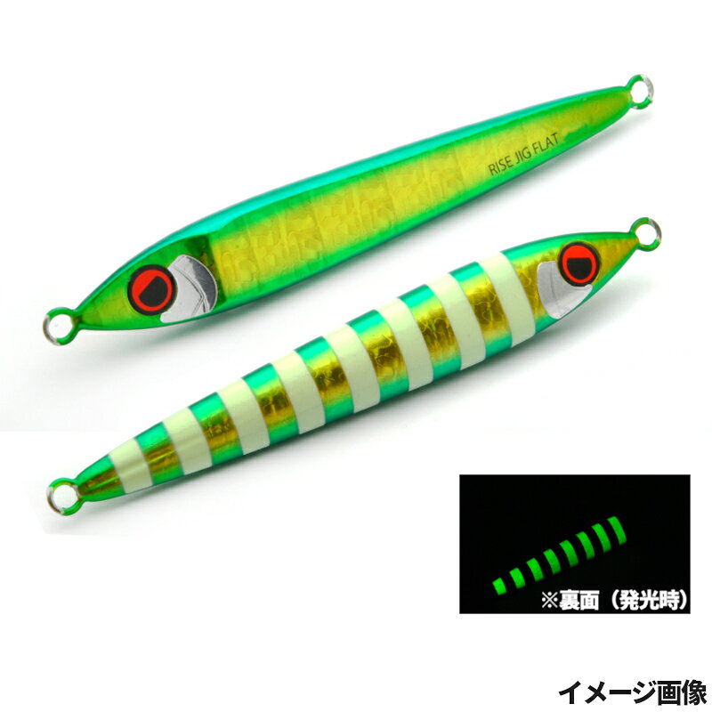 Salt Water - ライズジャパン ジグ ライズジグ フラット 60g RJ13. グリーンゴールドゼブラグロー【ゆうパケット】