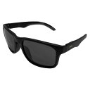 ダンシェイディーズ 偏光グラス ALL TERRAIN JP Black Matte×Black Smoke Polarized