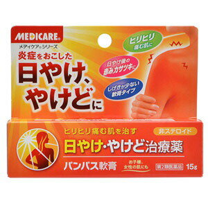 パンパス軟膏 15gメディケア(MEDICARE) 皮膚の薬 日焼け 日焼けの薬