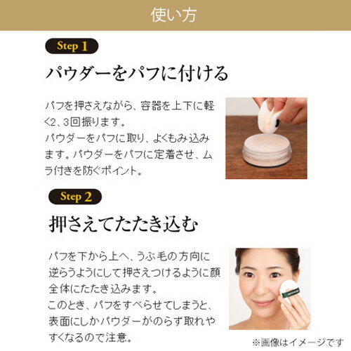 ���������֥����顼 STAROF THE COLOR �ե������ѥ����� 17g �ѥ�����