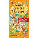 うさうさぴゅーれ にんじん 10g×5本入マルカン MG MARUKAN うさぎ おやつ ピューレ 液状 半液体状 ニンジン 人参(4)