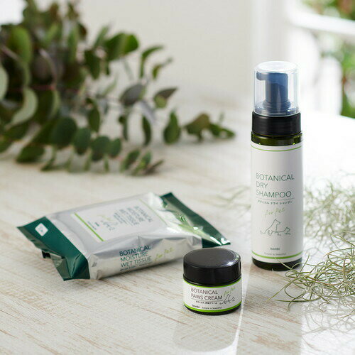 �ܥ�� �ܥ��˥��륦���åȥƥ��å��� 30�����ڥå� �� ǭ �ܥ��˥��� �����åȥƥ��å��� �����å� ������ ����