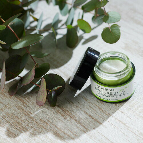 �ܥ�� �ܥ��˥������奱�����꡼�� 30g�ڥå� �� ǭ ���奯�꡼�� ���� ���� �ݼ� ���꡼��