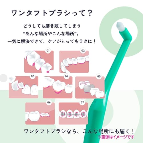 オーラルケア プラウト Plaut 1本ワンタフト ワンタフトブラシ 歯科用 ハブラシ 歯...