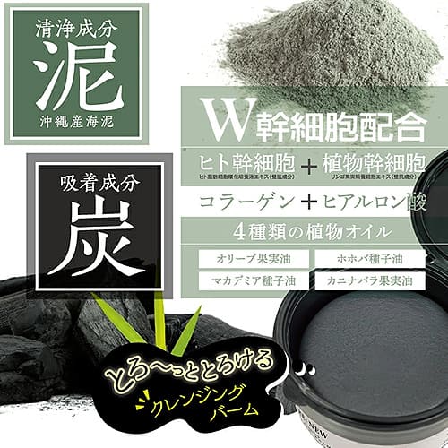 RE:NEW ����󥸥� �֥�å��С��� 100g����󥸥󥰥С��� ����󥸥� ���� �ӷ� �Ѽ� ���� ������Ȥ� ú ť �ҥȴ���˦