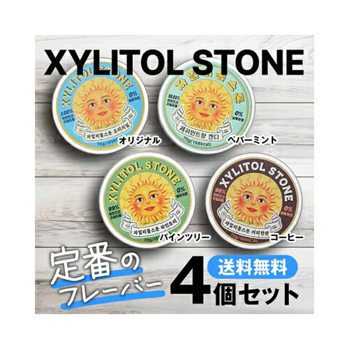 定番4点セット キシリトールストーン XYLITOL STONE