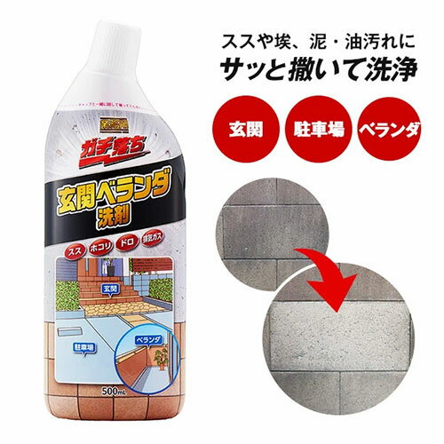 業務用 ガチ落ち 玄関ベランダ洗剤洗剤 玄関用 ベランダ用 駐車場 洗浄剤 業務用 ガチ落ち 玄関ベランダ洗剤洗剤 玄関用 ベランダ用 駐車場 洗浄剤