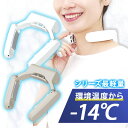 店内全品ポイント5倍★お買い物マラソンサンコー ネッククーラーポケットネッククーラー プレート 冷却 夏 ひんやり ひんやり家電 軽量