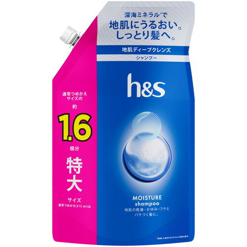 P＆G h&s エイチアンドエス モイスチャー シャンプー 医薬部外品 つめかえ 特大サイズ 500mL詰め替え用 詰め替え(4)