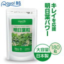 明日葉粒 180粒送料無料 業務用 大容量 Royal BS サプリ サプリメント 明日葉 あしたば あした葉 カリウム カルコン ビタミン ダイエット ビタミンb12 女性