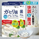 ガセリ菌プレミアム 約1年分 360粒 まとめ買い 2個セット乳酸菌サプリメント 善玉菌 乳酸菌 腸活 菌活 プロバイオティクス 大容量 RoyalBS 日本製 ガセリ菌ヨーグルトよりもお手軽