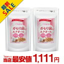ガセリ菌エクオール まとめ買い 2個セットガセリ菌 善玉菌 乳酸菌 腸活 菌活 エクオール サプリメント 大豆イソフラボン サプリメント 大容量 お徳用 健康 美容 RoyalBS 日本製
