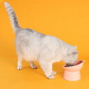 ペットボウル 猫 食器 フードボウル プラスチック 脚付 高さがある ペット用食器 猫 犬 小型犬用 おしゃれ 餌入れ ペット用品