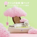 さくらの盆栽猫小屋 ペットベッド 猫ベッド 爪とぎポール オシャレ フワフワ 可愛い きれい INS 人気新作 オシャレ ねこ つめとぎ ネコ 爪とぎポール 爪...