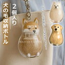 \6%OFFクーポン/ 透明 ペット 遺毛入れ ケース 2個入り 犬の毛収納ボトル 遺毛 ペット ペットメモリアルボトル 犬のキーホルダー 毛を保管するボトル ...