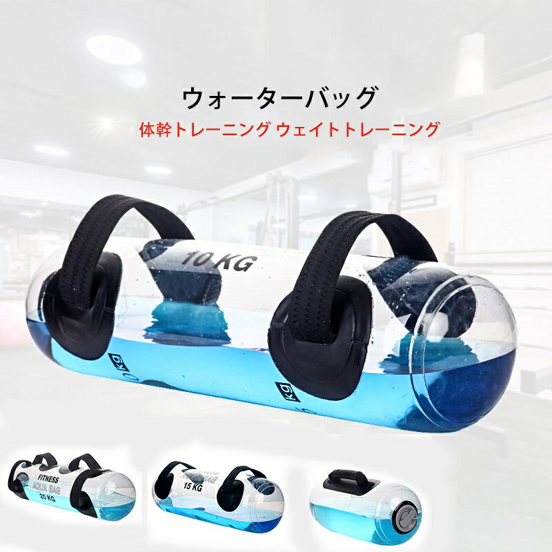 送料無料 ウォーターバッグ 空気入れ付き 重さ5kg 10kg 15kg 20kg 体幹トレーニング ウェイトトレーニ..