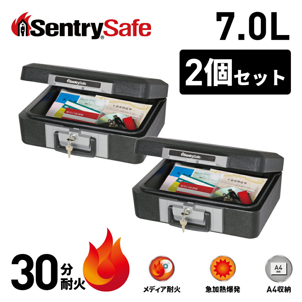 Amazon.co.jp: SENTRY (セントリー) 金庫 2時間 耐火 24時間