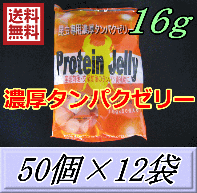 ◆商品説明など◆ できる限り本物の蛹に近いタンパクゼリーを作る為、(財)日本食品分析センターにクワガタの蛹30頭で50成分にわたる成分分析を依頼しました。動物性タンパク質を配合することにより、産卵前・産卵後に必要なタンパク質を補給します。 二糖類：グルコース・フルクトース アミノ酸(タンパク)：グルタミン酸・アラニン・バリン・セリン・オキシリジン ・メチオニン ・リジン ・チロシン・フェニルアラニン・ヒスチジン ・アルギニン ・グリシン・アスパラギン酸・イソロイシン ・スレオニン・オキシプロリン ・ロイシン ・プロリン 脂肪酸：パルミチン酸・オレイン酸 ・リノール酸 香料：バナナフレーバー ◆製造・販売元など◆ ブリーダーズ・ファーム（株）　旧社名 山口きのこセンター（株)　【台湾製】 ※中国とは違い、台湾では日本と同等の高い技術と、徹底した管理の下でハイレベルの商品が作られておりますので、もちろん液モレなどもありませんし、品質的にも、また安全面でも信頼できます。 ◆商品サイズ・重量など◆ 16g