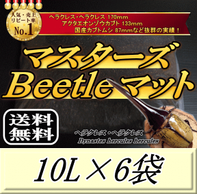 レビューをお願い致します◆送料無料！マスターズBeetleマット 10L×6袋　ヘラクレス170mmの実績！害虫の混入99％なし！ カブトムシ 幼虫飼育用 超高品質 昆虫マット 幼虫のエサ 土