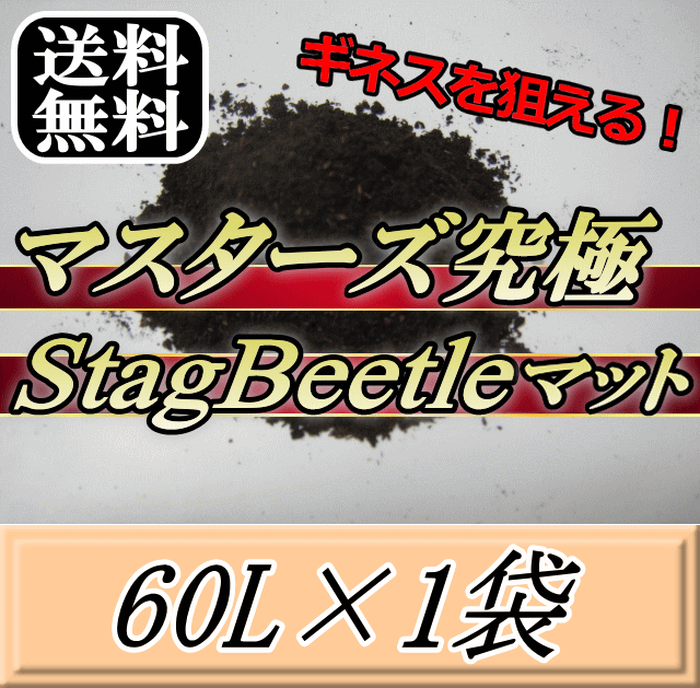 レビューをお願い致します◆送料無料！マスターズ究極Stag Beetleマット 60L×1袋　ミヤマ フタマタ ツヤクワでギネスを狙える最高ランクのクワガタマット！害虫の混入99％なし！ クワガタムシ 幼虫飼育用 超高品質 昆虫マット 幼虫のエサ 土