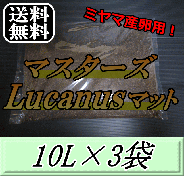 ӥ塼򤪴ꤤפޤ̵ޥLucanusޥå 10L3ޡߥޥ塞 λ񡦻˺Ŭʥ塞ޥåȡκ99ʤ 塞ॷ  Ķʼ ޥå Υ 