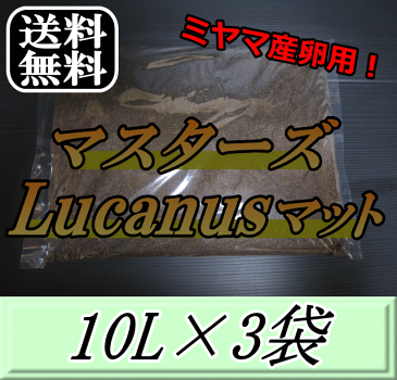 レビューをお願い致します◆送料無料！マスターズLucanusマット 10L×3袋　ミヤマクワガタ の産卵・飼育に最適なクワガタマット！害虫の混入99％なし！ クワガタムシ 産卵用 超高品質 昆虫マット 幼虫のエサ 土