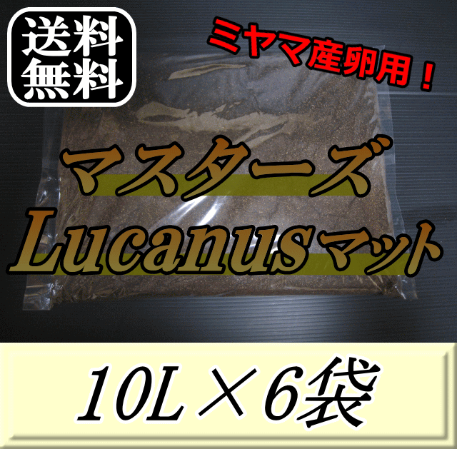 レビューをお願い致します◆送料無料！マスターズLucanusマット 10L×6袋　ミヤマクワガタ の産卵・飼育に最適なクワガタマット！害虫の混入99％なし！ クワガタムシ 産卵用 超高品質 昆虫マット 幼虫のエサ 土