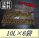 レビューをお願い致します◆送料無料！マスターズLucanusマット 10L×6袋　ミヤマクワガタ の産卵・飼育に最適なクワガタマット！害虫の混入99％なし！ クワガタムシ 産卵用 超高品質 昆虫マット 幼虫のエサ 土 その1