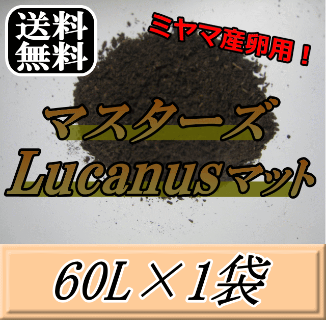 レビューをお願い致します◆送料無料！マスターズLucanusマット 60L×1袋　ミヤマクワガタ の産卵・飼育に最適なクワガ…