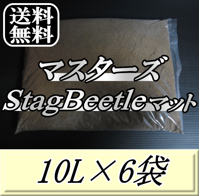 レビューをお願い致します◆送料無