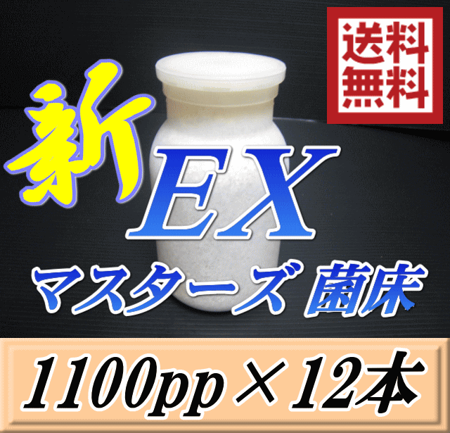 レビューをお願い致します 送料無料 マスターズ新EX オオヒラタケ 菌床 広口1100pp 12本 贅沢な添加剤・ギネスを狙える超高品質 安心のブナ 中粒子メイン 菌糸 持ちも抜群 高級広口ボトル採用 …