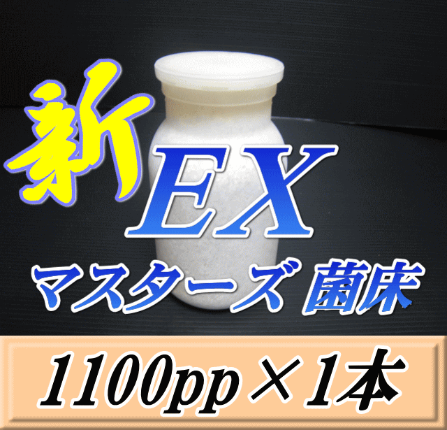 マスターズ新EX オオヒラタケ 菌床 広口1100pp×1本　贅沢な添加剤・ギネスを狙える超高品質！安心のブナ 中粒子メイン 菌糸 持ちも抜群..