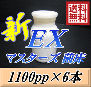 レビューをお願い致します◆送料無料!マスターズ新EX オオヒラタケ 菌床 広口1100pp×6本 贅沢な添加剤・ギネスを狙える超高品質!安心のブナ 中粒子メイン 菌糸 持ちも抜群! 高級広口ボトル採用! 幼虫のエサ 菌糸ビン