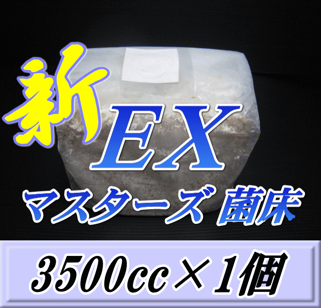 マスターズ新EX オオヒラタケ 菌床 ブロック 3500cc×1個　贅沢な添加剤・ギネスを狙える超高品質！安心のブナ 中粒子メイン 菌糸 持ちも抜群！ 幼虫のエサ 菌糸ビン お得な詰め替え用！