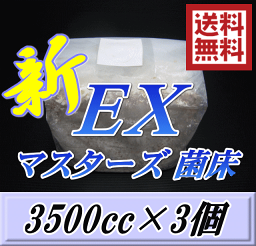 レビューをお願い致します◆送料無料！マスターズ新EX オオヒラタケ 菌床 ブロック 3500cc×3個　贅沢な添加剤・ギネスを狙える超高品質！安心のブナ 中粒子メイン 菌糸 持ちも抜群！ 幼虫のエサ 菌糸ビン お得な詰め替え用！