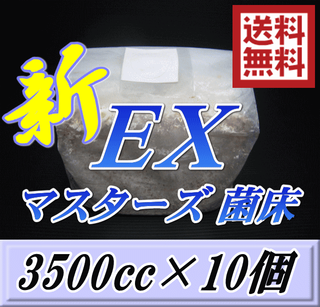 レビューをお願い致します◆送料無料！マスターズ新EX オオヒラタケ 菌床 ブロック 3500cc×10個　贅沢な添加剤・ギネスを狙える超高品質..