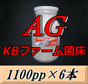 レビューをお願い致します◆送料無料!AG (オオヒラタケ) 菌床 1100pp×6本 KBファーム製