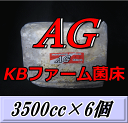 レビューをお願い致します◆送料無料!AG (オオヒラタケ) 菌床 ブロック 3500cc×6個 KBファーム製