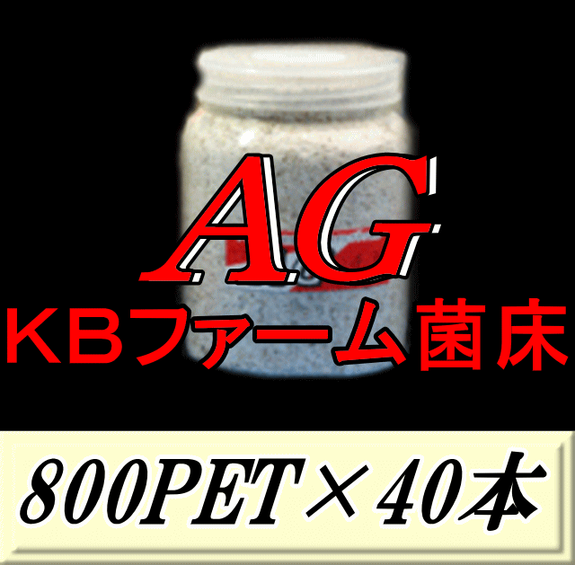 新発売SALE!通常33,200円→31,600円◆レビューをお願い致します◆送料無料!AG (オオヒラタケ) 菌床 800PET×40本 クリアボトル 手詰め2次発菌 KBファーム製