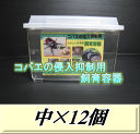 レビューをお願い致します◆送料無料!コバエの侵入抑制用飼育容器 中 12個